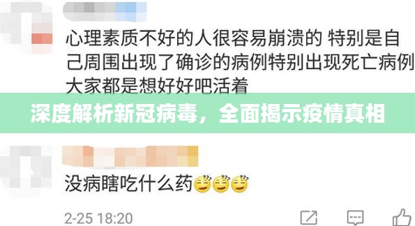 深度解析新冠病毒，全面揭示疫情真相