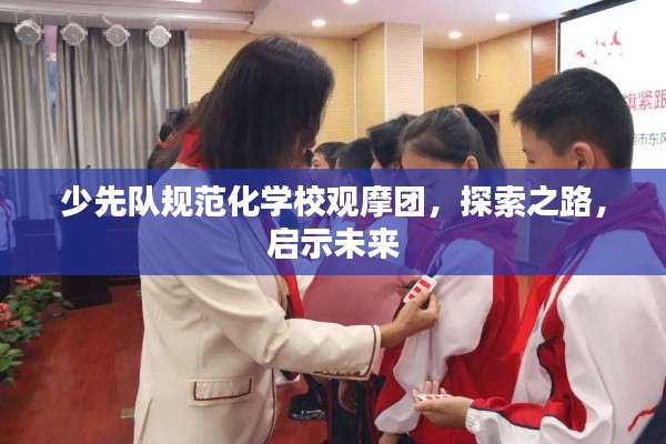少先队规范化学校观摩团，探索之路，启示未来