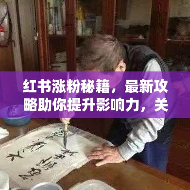 红书涨粉秘籍，最新攻略助你提升影响力，关键步骤全解析！