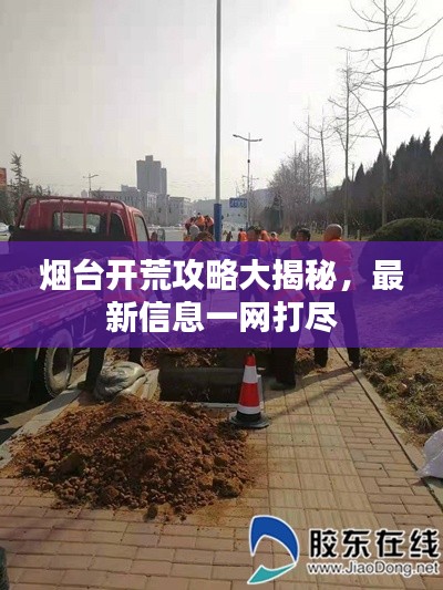 烟台开荒攻略大揭秘，最新信息一网打尽