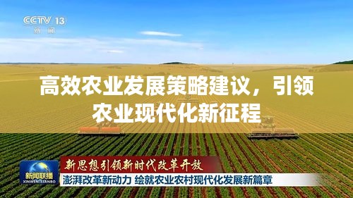 高效农业发展策略建议，引领农业现代化新征程