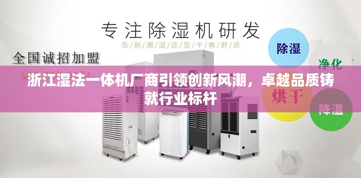 浙江湿法一体机厂商引领创新风潮，卓越品质铸就行业标杆