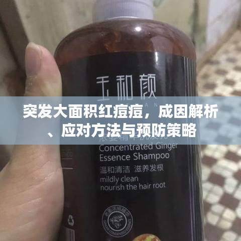 突发大面积红痘痘，成因解析、应对方法与预防策略