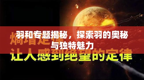 羽和专题揭秘，探索羽的奥秘与独特魅力