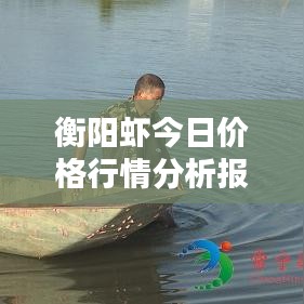 衡阳虾今日价格行情分析报告