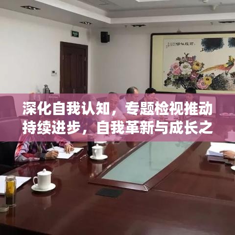 深化自我认知，专题检视推动持续进步，自我革新与成长之路