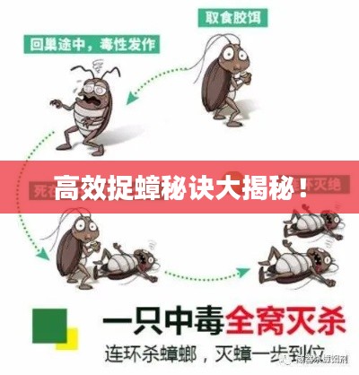 高效捉蟑秘诀大揭秘！