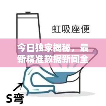 今日独家揭秘，最新精准数据新闻全解析