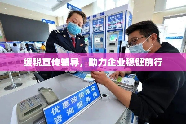 缓税宣传辅导，助力企业稳健前行