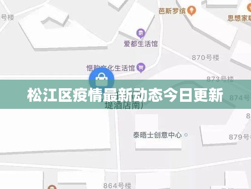 松江区疫情最新动态今日更新