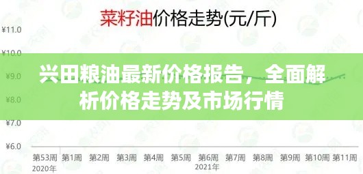 秀外慧中