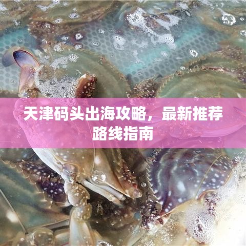 天津码头出海攻略，最新推荐路线指南