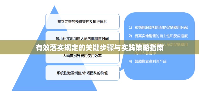 有效落实规定的关键步骤与实践策略指南