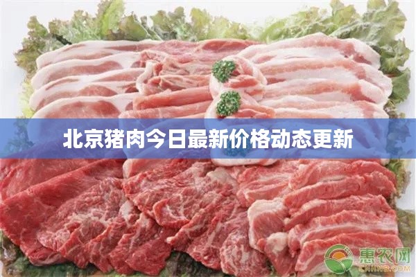 北京猪肉今日最新价格动态更新