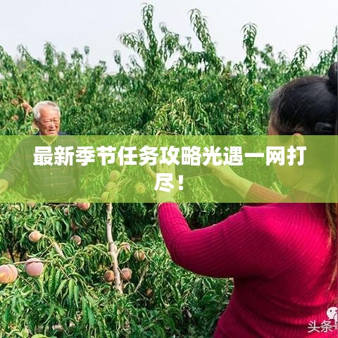 最新季节任务攻略光遇一网打尽！