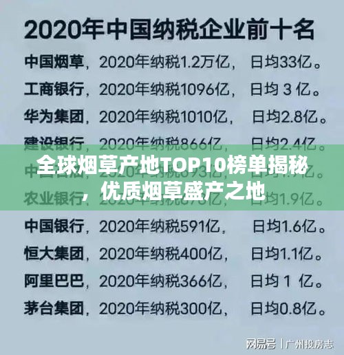 全球烟草产地TOP10榜单揭秘，优质烟草盛产之地