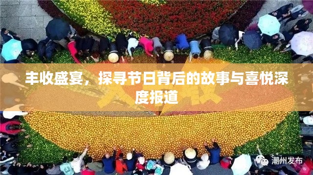 丰收盛宴，探寻节日背后的故事与喜悦深度报道