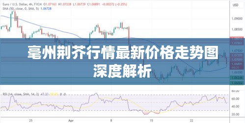 毫州荆芥行情最新价格走势图深度解析