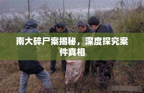 南大碎尸案揭秘，深度探究案件真相