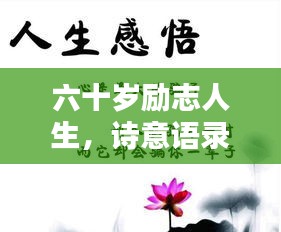 六十岁励志人生，诗意语录，岁月静好，不负韶华
