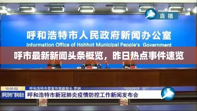 呼市最新新闻头条概览，昨日热点事件速览