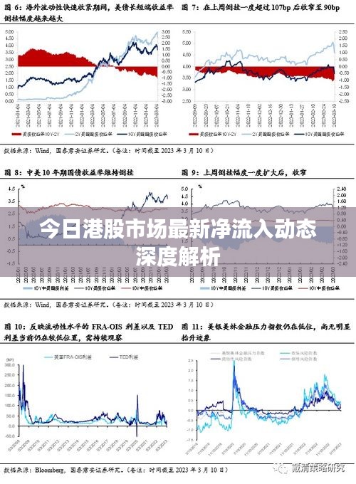 今日港股市场最新净流入动态深度解析