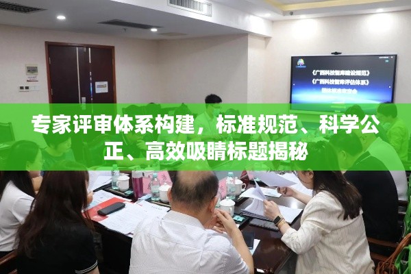 专家评审体系构建，标准规范、科学公正、高效吸睛标题揭秘