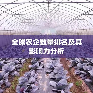 全球农企数量排名及其影响力分析