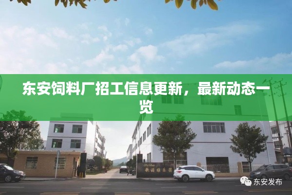 东安饲料厂招工信息更新，最新动态一览