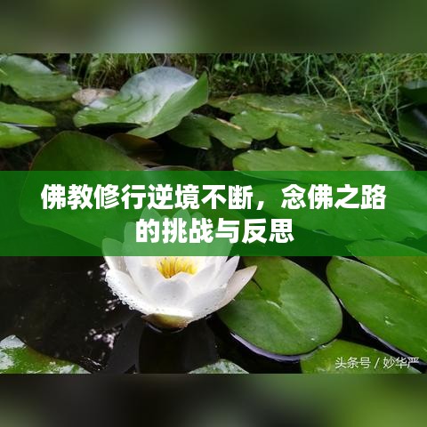 佛教修行逆境不断，念佛之路的挑战与反思