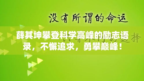 薛其坤攀登科学高峰的励志语录，不懈追求，勇攀巅峰！