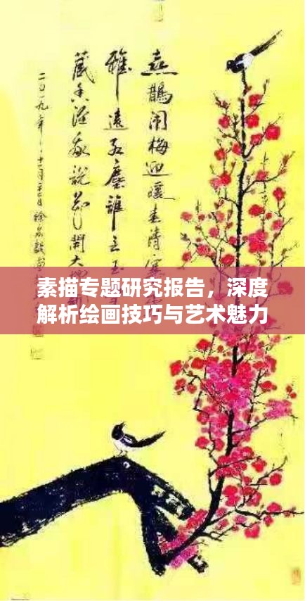 素描专题研究报告，深度解析绘画技巧与艺术魅力