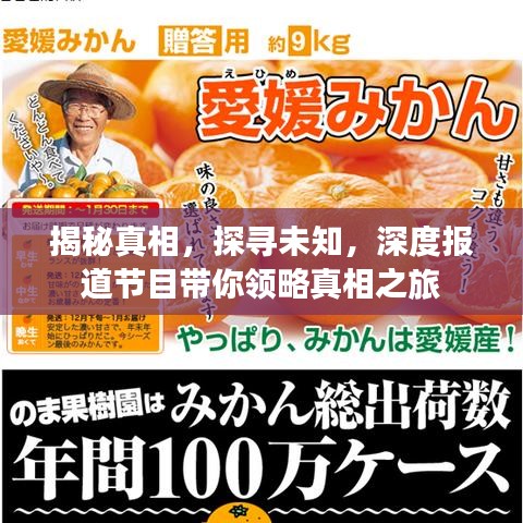 揭秘真相，探寻未知，深度报道节目带你领略真相之旅