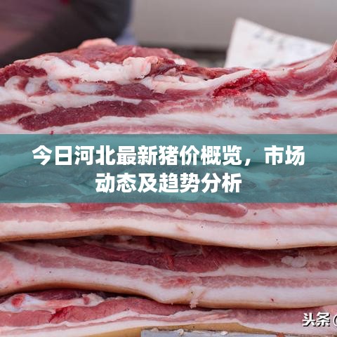 龙飞九五