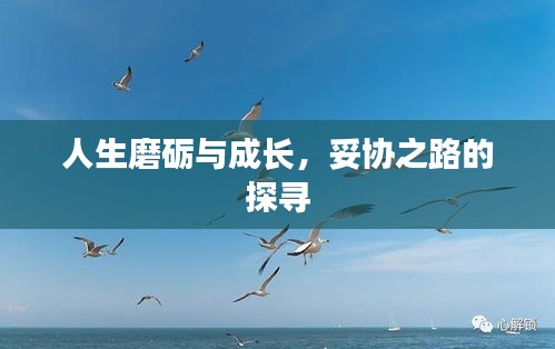 人生磨砺与成长，妥协之路的探寻