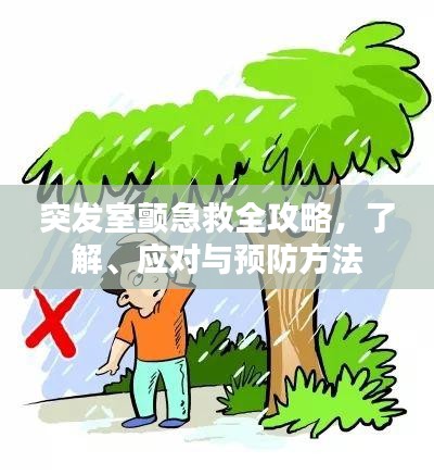 突发室颤急救全攻略，了解、应对与预防方法