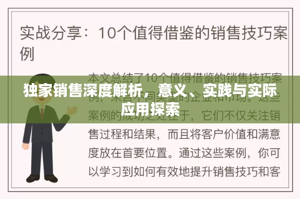 独家销售深度解析，意义、实践与实际应用探索