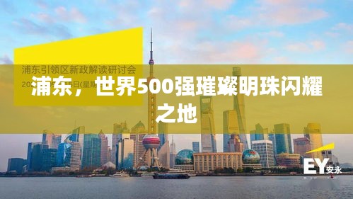 浦东，世界500强璀璨明珠闪耀之地