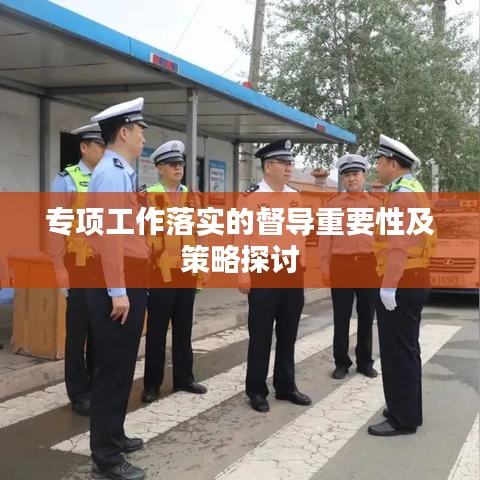 专项工作落实的督导重要性及策略探讨