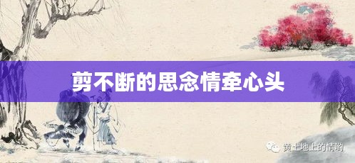 剪不断的思念情牵心头