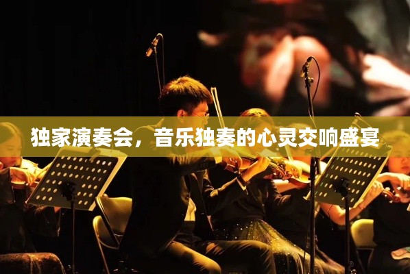 独家演奏会，音乐独奏的心灵交响盛宴