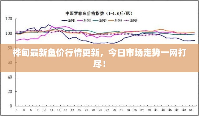 桦甸最新鱼价行情更新，今日市场走势一网打尽！