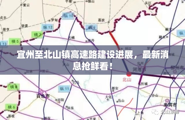 标新竖异