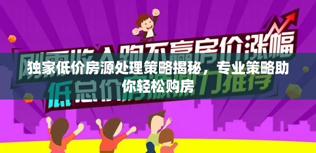 独家低价房源处理策略揭秘，专业策略助你轻松购房