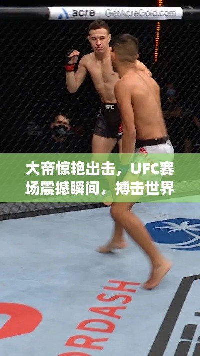 大帝惊艳出击，UFC赛场震撼瞬间，搏击世界瞩目！