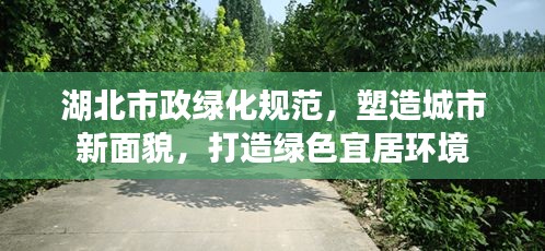 湖北市政绿化规范，塑造城市新面貌，打造绿色宜居环境