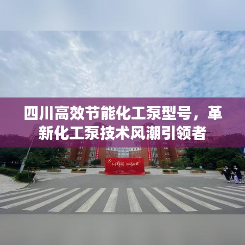 四川高效节能化工泵型号，革新化工泵技术风潮引领者