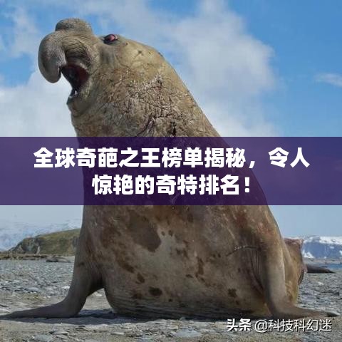 全球奇葩之王榜单揭秘，令人惊艳的奇特排名！