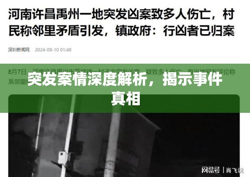 突发案情深度解析，揭示事件真相