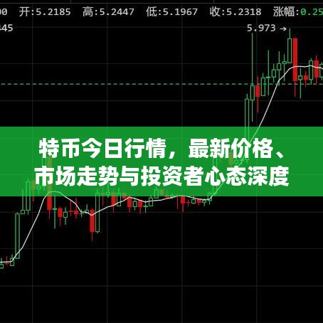 特币今日行情，最新价格、市场走势与投资者心态深度解析